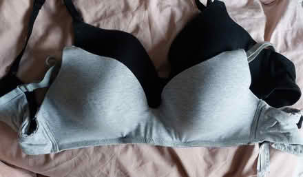 Photo of free Maternity bras 38F (St Albans Jersey Farm AL4) #1