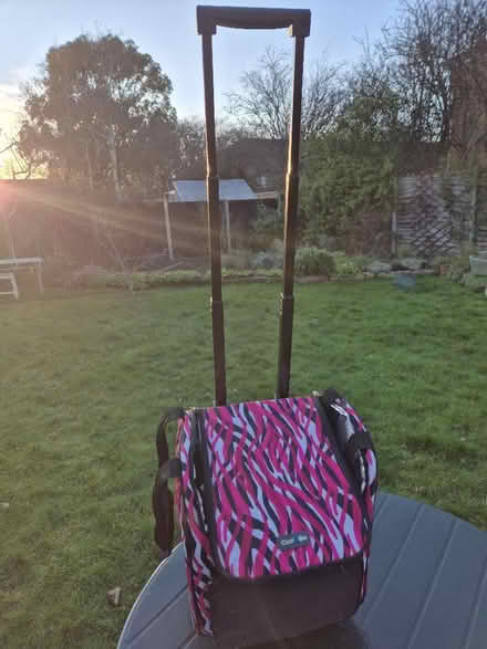 Photo of free Cool bag wheelie. (Taunton Killams & Mountfield District Ward TA1) #1