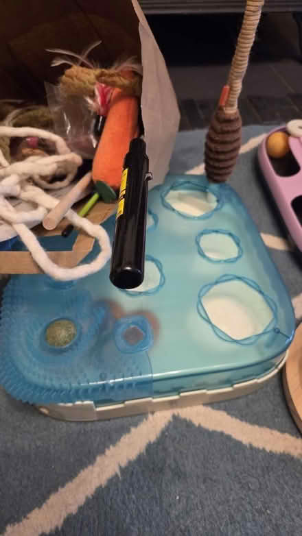 Photo of free Various cat toys (Twickenham) #4