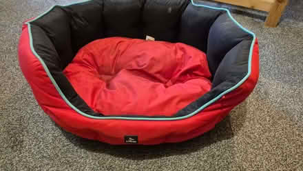 Photo of free Dog Bed (Logie DD2) #1
