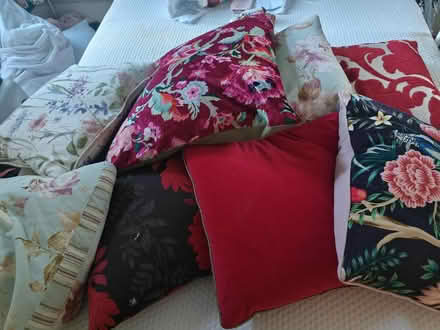 Photo of free 8 cushions (Plumstead SE18) #1