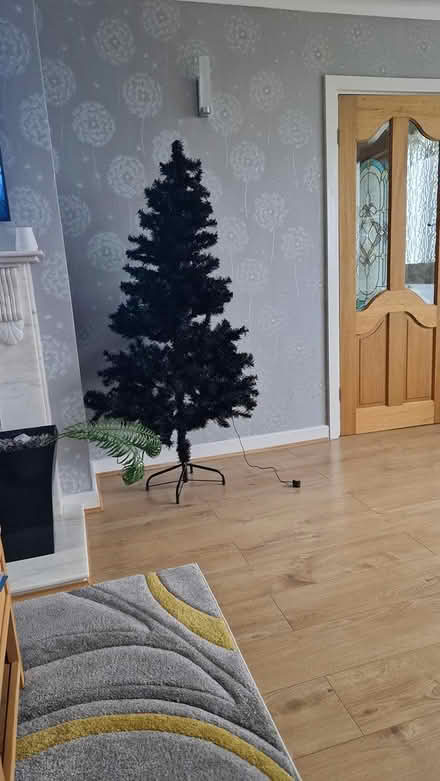 Photo of free Black xmas tree (Whiston s60 3lu) #1