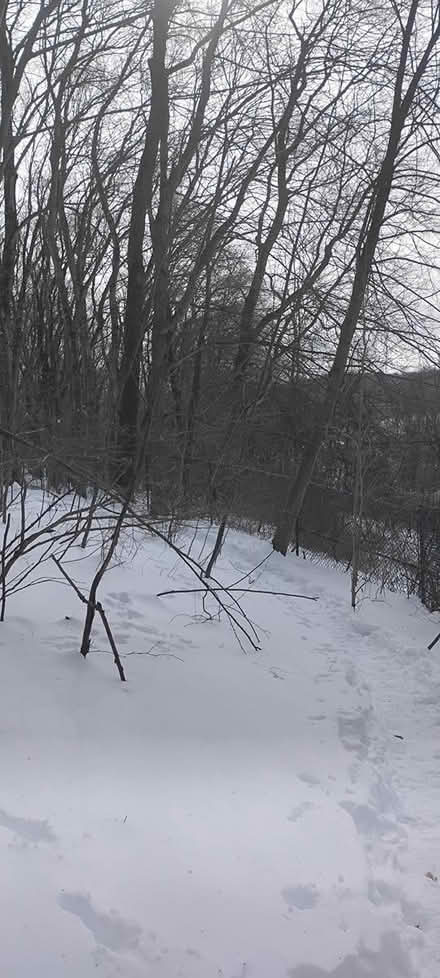 Photo of snow shoes 25-30 (10532) #1