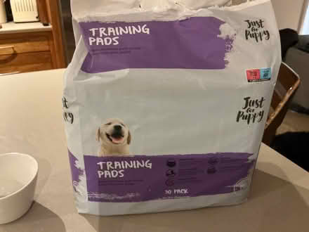 Photo of free Puppy training pads (Woodford IG8) #1
