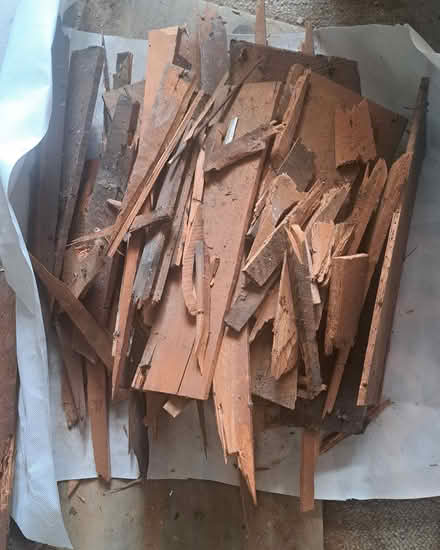 Photo of free Firewood, Rimu sarking (Mount Victoria) #2