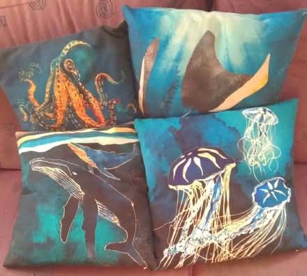 Photo of free Set of 4 cushions (Putnoe MK41) #1