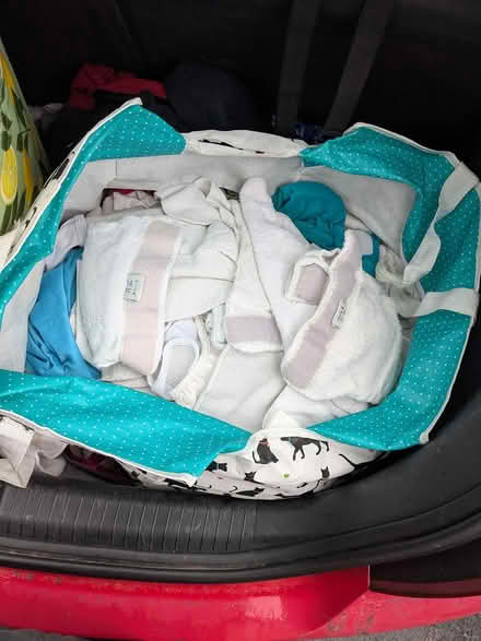 Photo of free reusable nappies for rags / animals (Frome BA11) #1