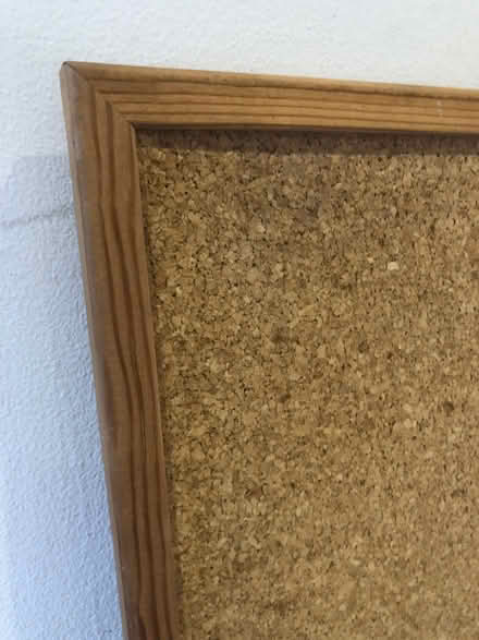 Photo of free Cork notice board (Bennett's Cross TQ9) #2