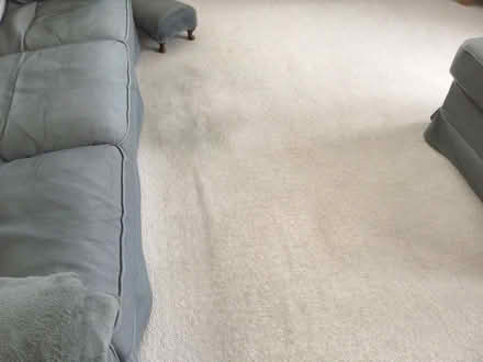 Photo of free Carpet (Hardwick East OX16) #1