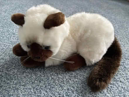 Photo of free 90s Super Soft Cat Plush Toy (Greece, NY) #1