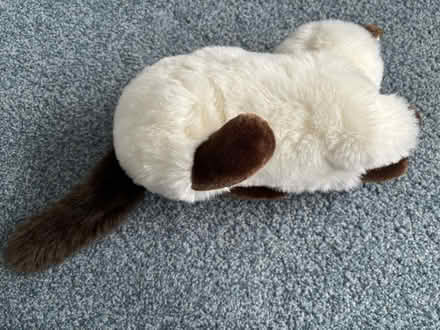 Photo of free 90s Super Soft Cat Plush Toy (Greece, NY) #3