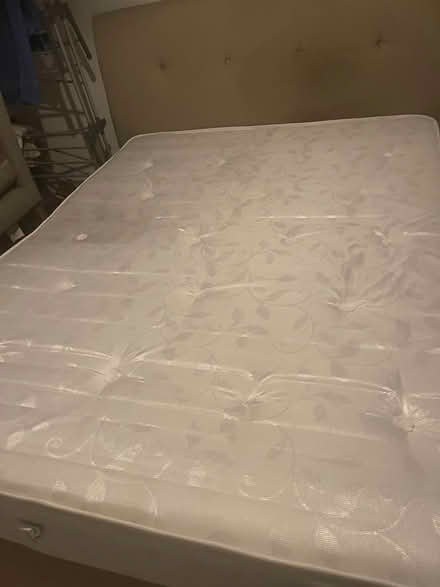 Photo of free king size bed (NE15 Throckley) #2