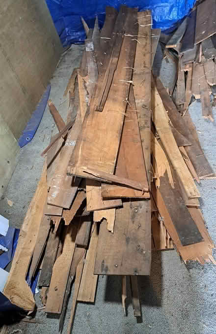 Photo of free Firewood, Rimu sarking (Mount Victoria) #3