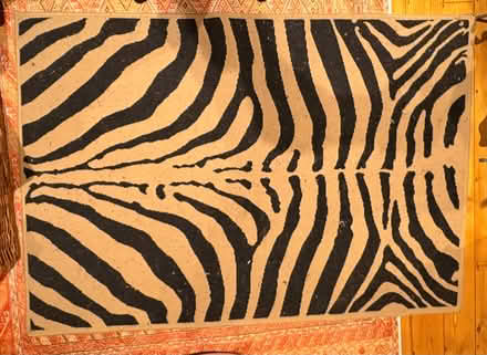 Photo of free Black beige zebra print rug (BS5) #1