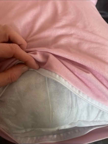 Photo of free Cushions with covers x 4 (Cheshunt En8) #3