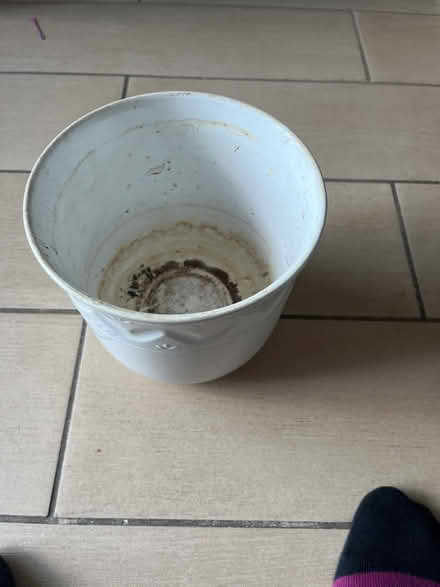 Photo of free White ceramic plant pot (N6 Highgate High Street) #3