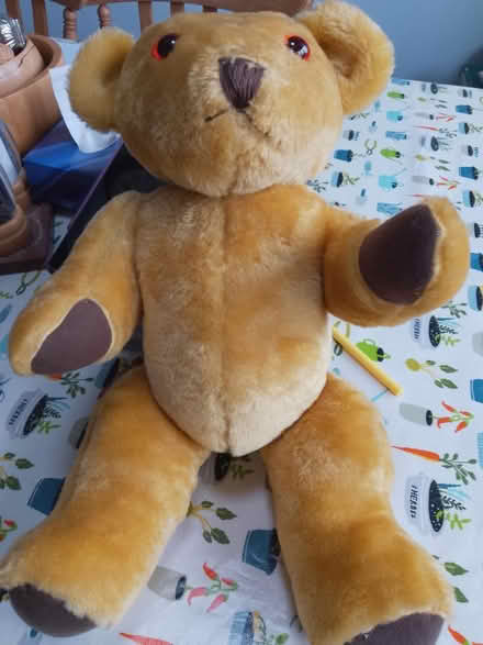 Photo of free Teddy bear (Saughall, CH1) #1