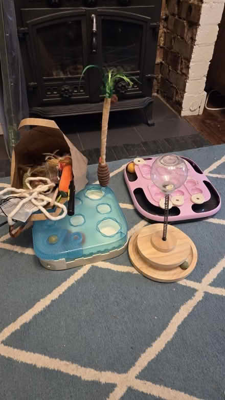 Photo of free Various cat toys (Twickenham) #1