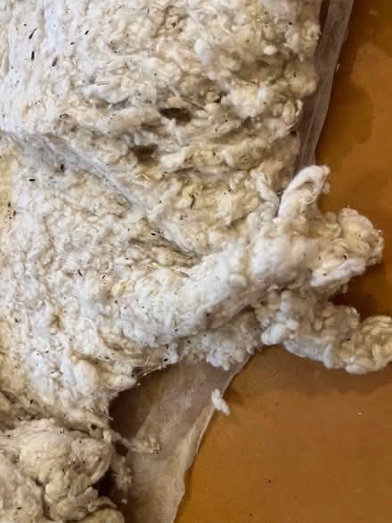 Photo of free Upholstery wadding (Clattering Bridge AB30) #2