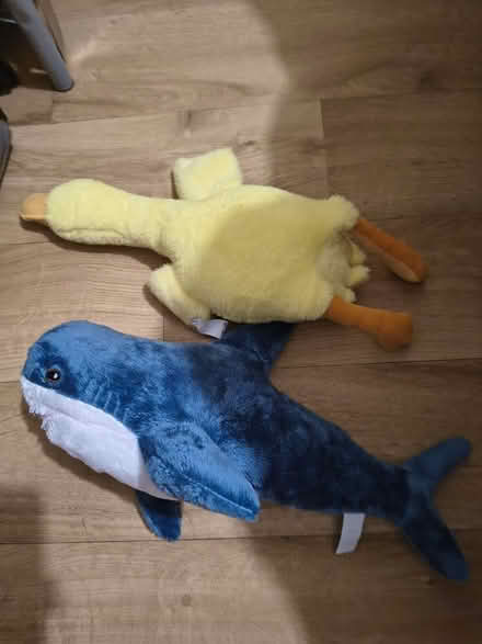 Photo of free 2 Soft Dog Toys (Fiveways Brighton) #1