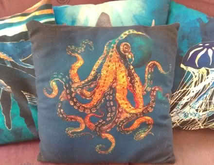 Photo of free Set of 4 cushions (Putnoe MK41) #2