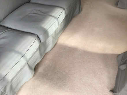 Photo of free Carpet (Hardwick East OX16) #3