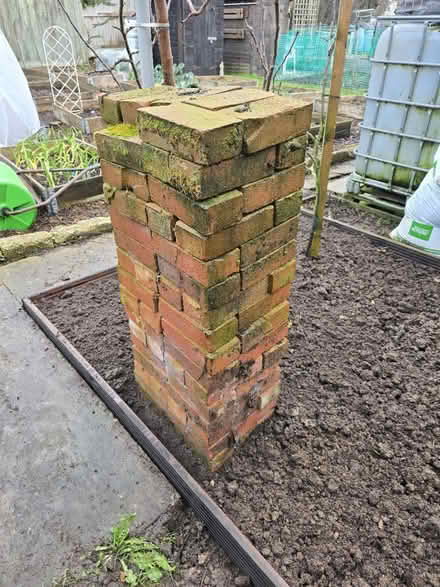 Photo of free Red bricks (CO12) #1