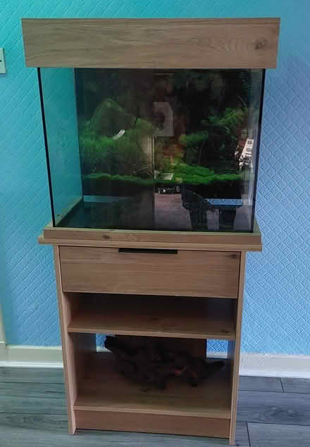 Photo of free Fish Tank (Glasgow Craigton G52) #1