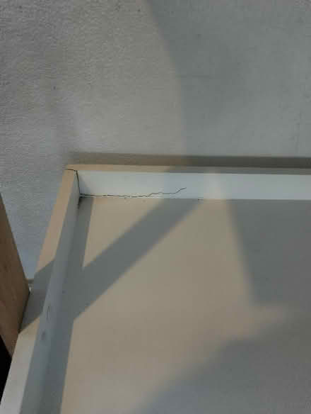 Photo of free Lean to shelves (Stockwood BS14) #3