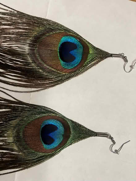 Photo of free Vintage Peacock Feather Earrings (Walton Manor OX2) #1