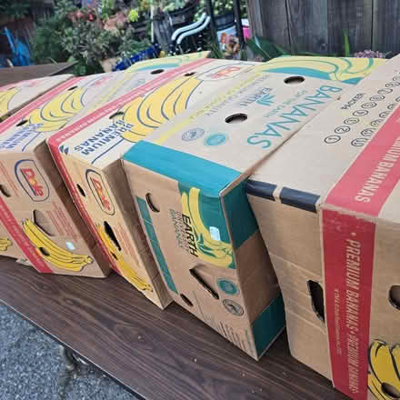 Photo of free Big Boxes (Chiquita Av MtnVw) #2