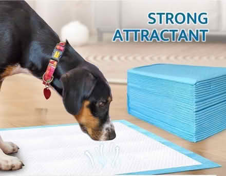 Photo of Puppy wee pads (West Oxfordshire OX28) #1