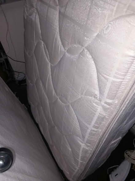 Photo of free Single bed (Blyth NE24) #1