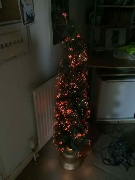 Photo of free Fibre optic Christmas tree and backpack (Blacklands TN34) #1