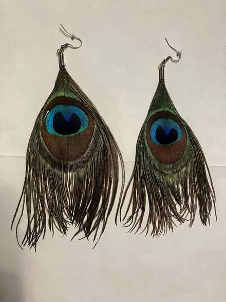 Photo of free Vintage Peacock Feather Earrings (Walton Manor OX2) #3
