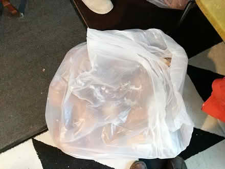 Photo of free 20 loaves of good bread (Ann Arbor near Hillside Terr.) #4