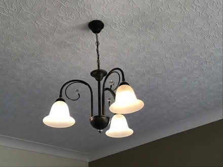 Photo of free Ceiling Lights (Seaton EX12) #2