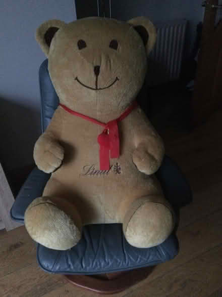 Photo of free Large Teddy (South County Dublin) #1