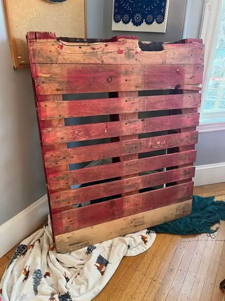 Photo of free Standard wood pallet (Lowell and highland) #1
