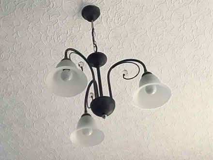 Photo of free Ceiling Lights (Seaton EX12) #1