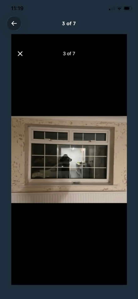 Photo of free Windows (Hopgrove lane north yor32 9TF) #1