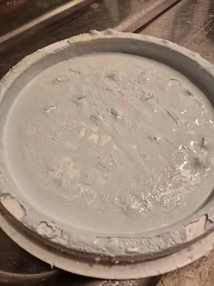 Photo of free Paint (Tq13bs) #1