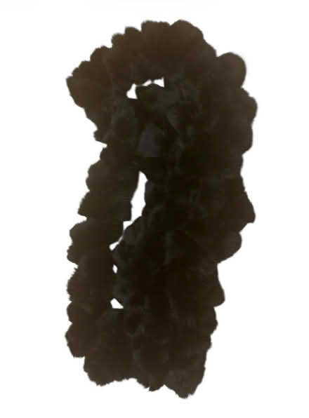 Photo of free Fur Scarf (Brooklyn Storage) #1