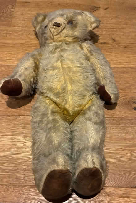 Photo of free Teddy Bear Deans Rag Book Co. Ltd (Epping CM16) #1