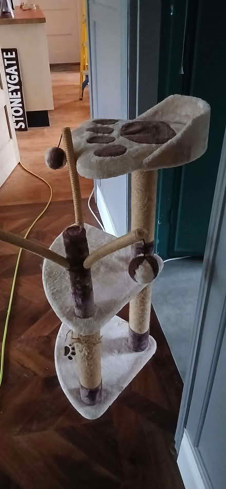 Photo of free Cat scratching post (Raymond's Hill EX13) #1