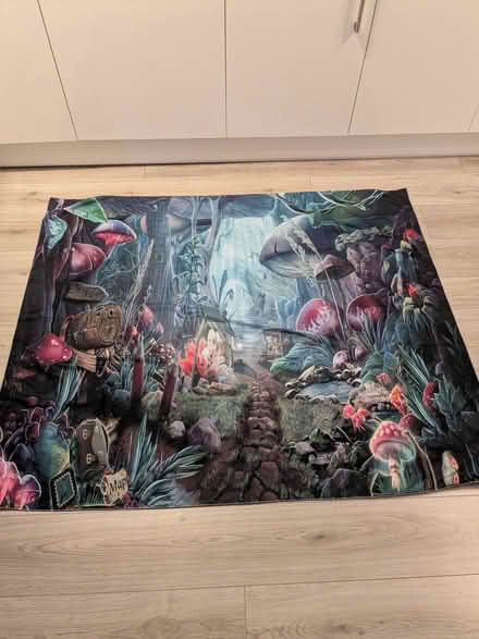 Photo of free Fantasy wall hanging (Haslucks Green B90) #1