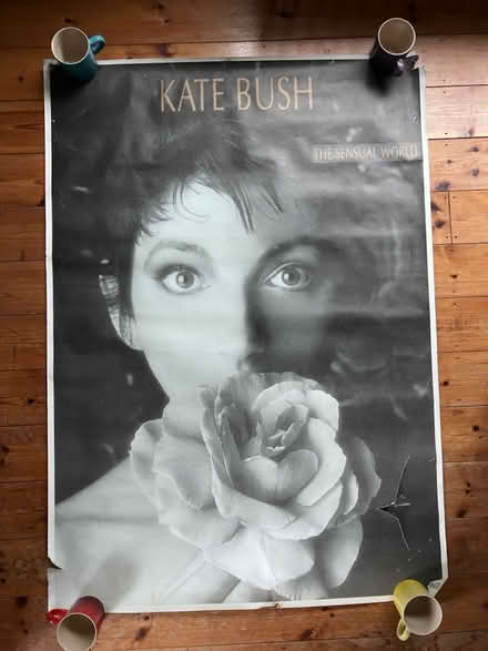 Photo of free Massive Kate Bush poster (Meadowtown SY5) #1