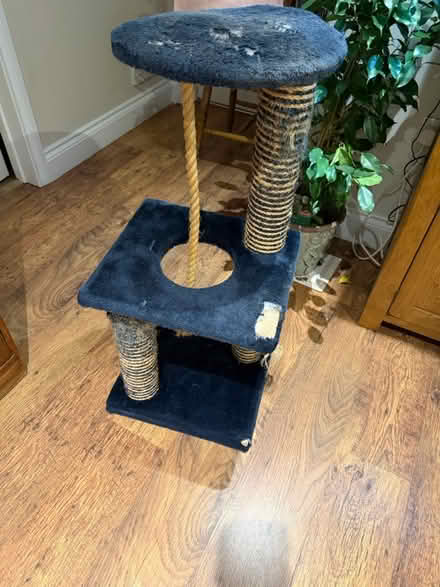 Photo of free Cat scratching post (Burgess hill RH15) #2