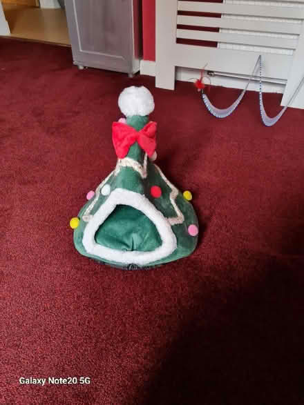 Photo of free Xmas tree wigwam shaped small pet bed (Cumbernauld G67) #1