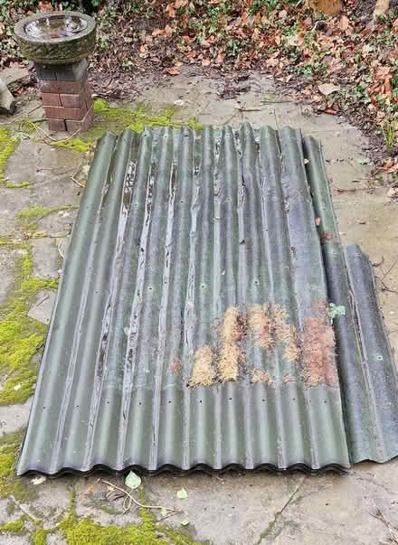 Photo of free Onduline sheets (SG6) #1